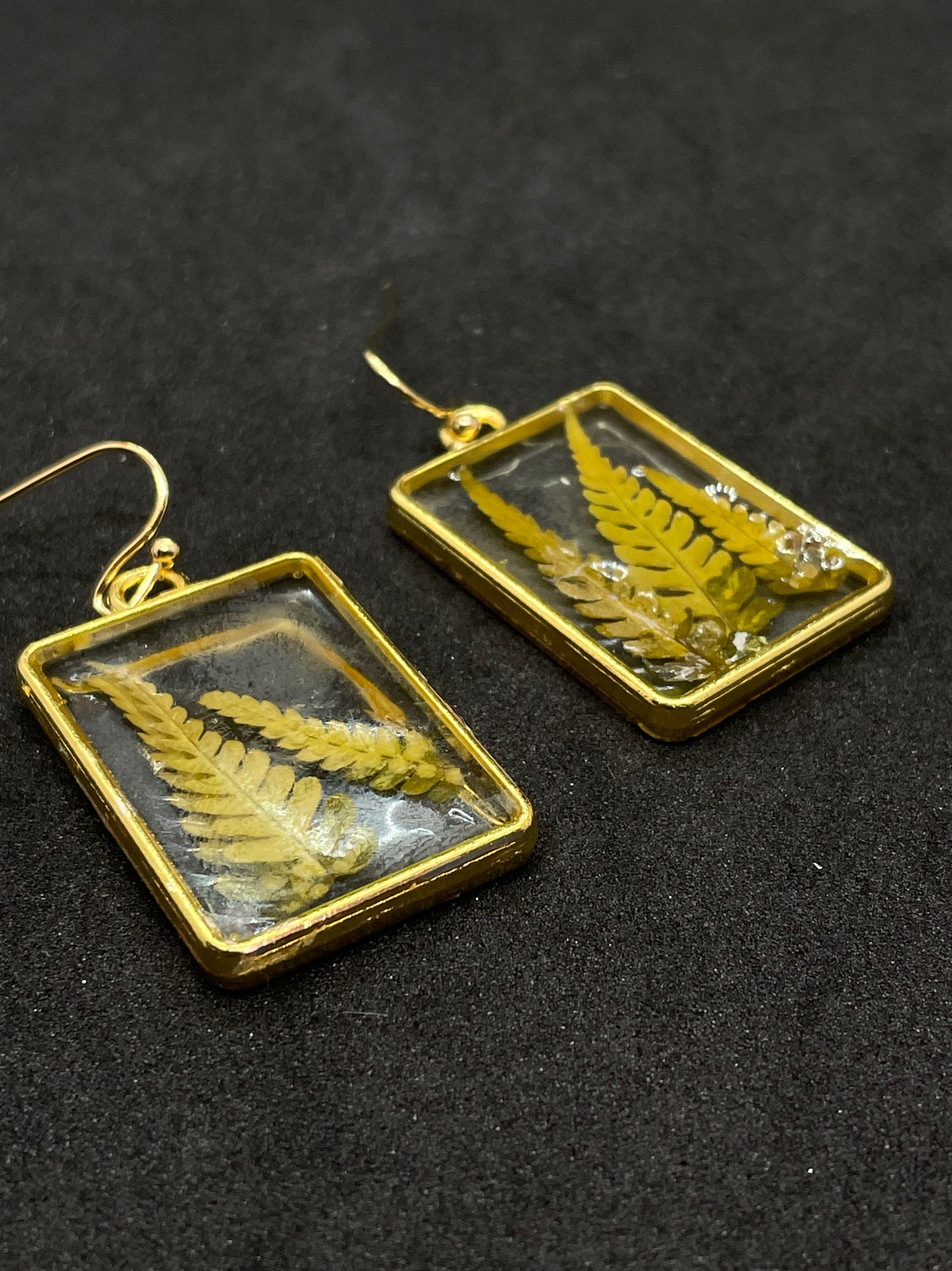 Fern & resin oblong earrings