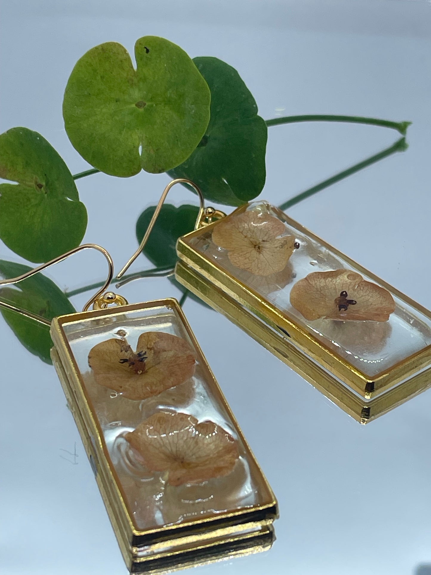 Euphorbia & resin oblong earrings