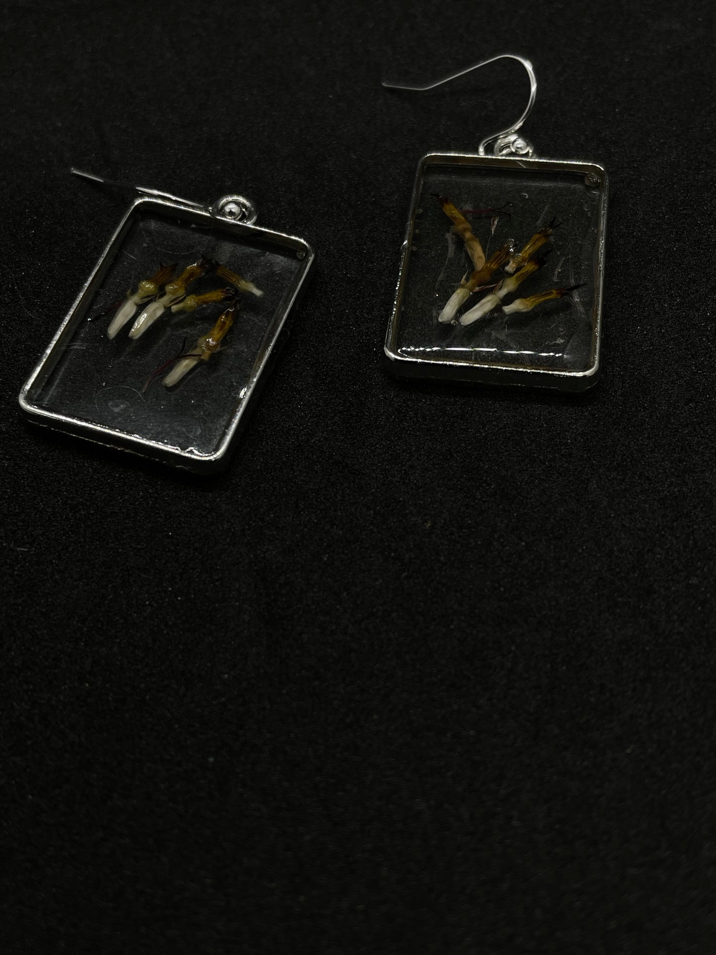 Young sunflower seeds & resin oblong earrings
