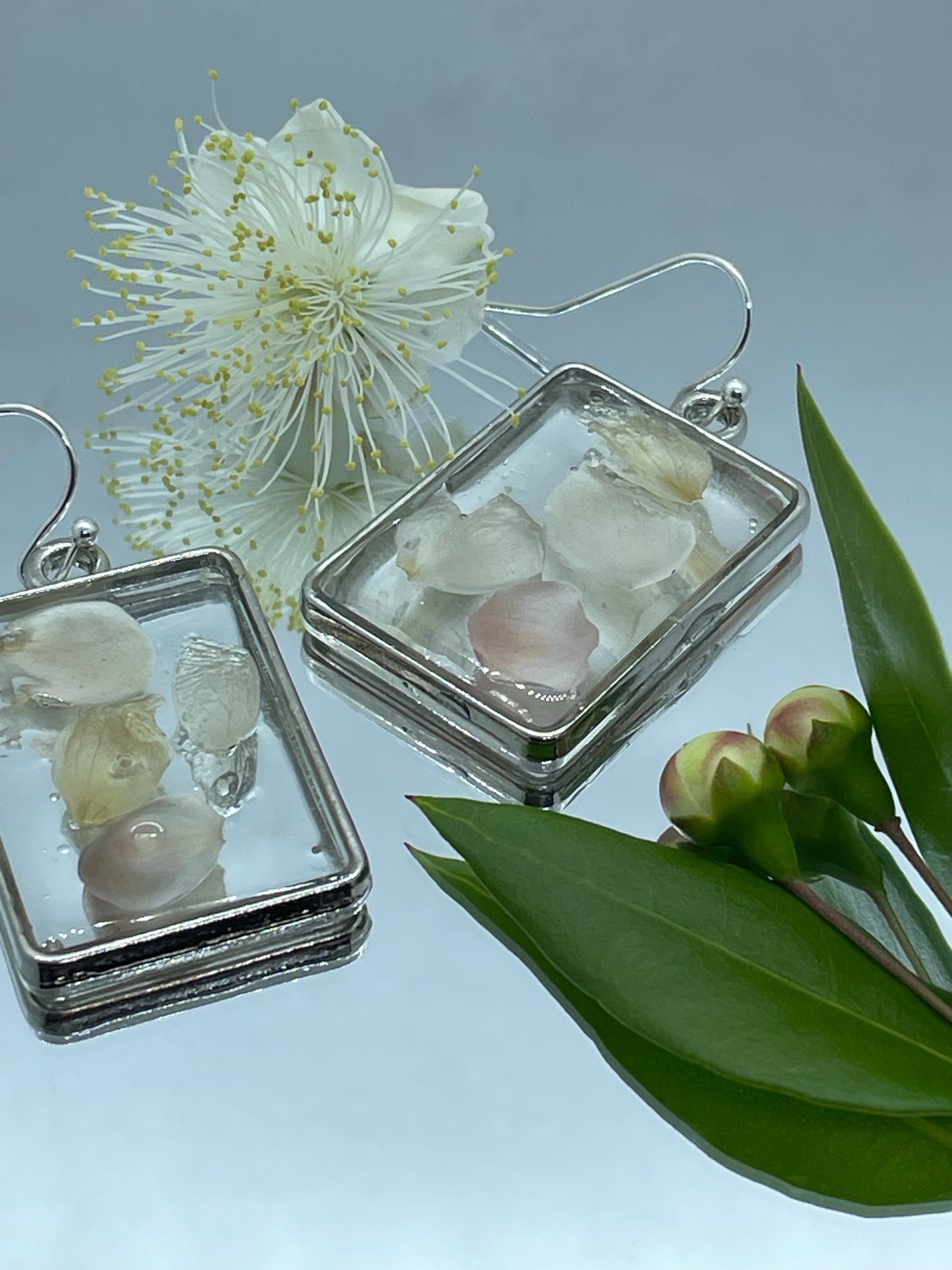 Myrtle & resin disc earrings