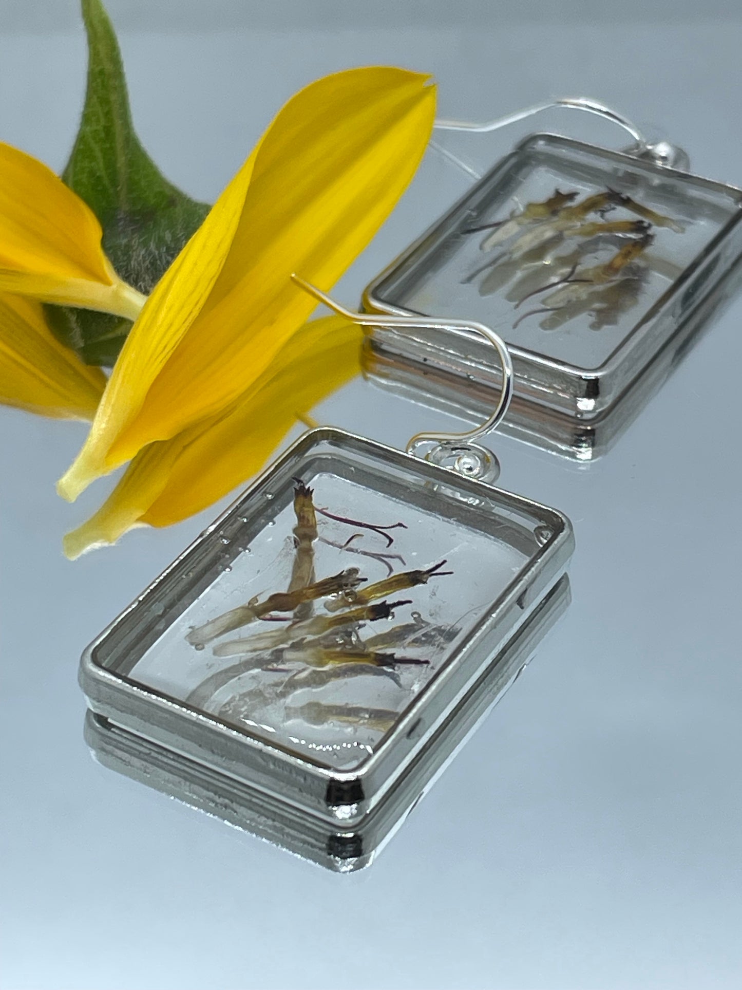 Young sunflower seeds & resin oblong earrings