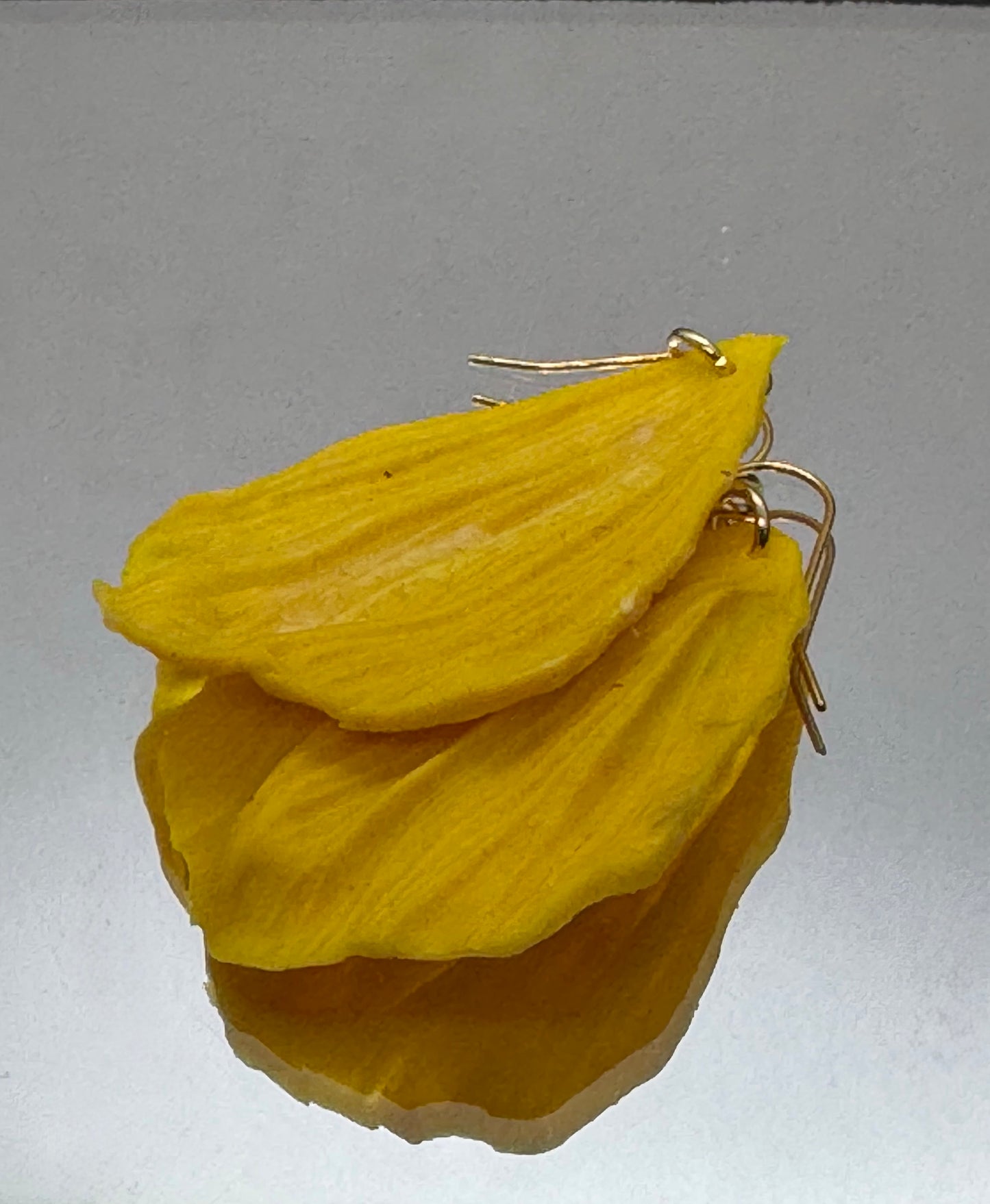 Yellow petal earrings