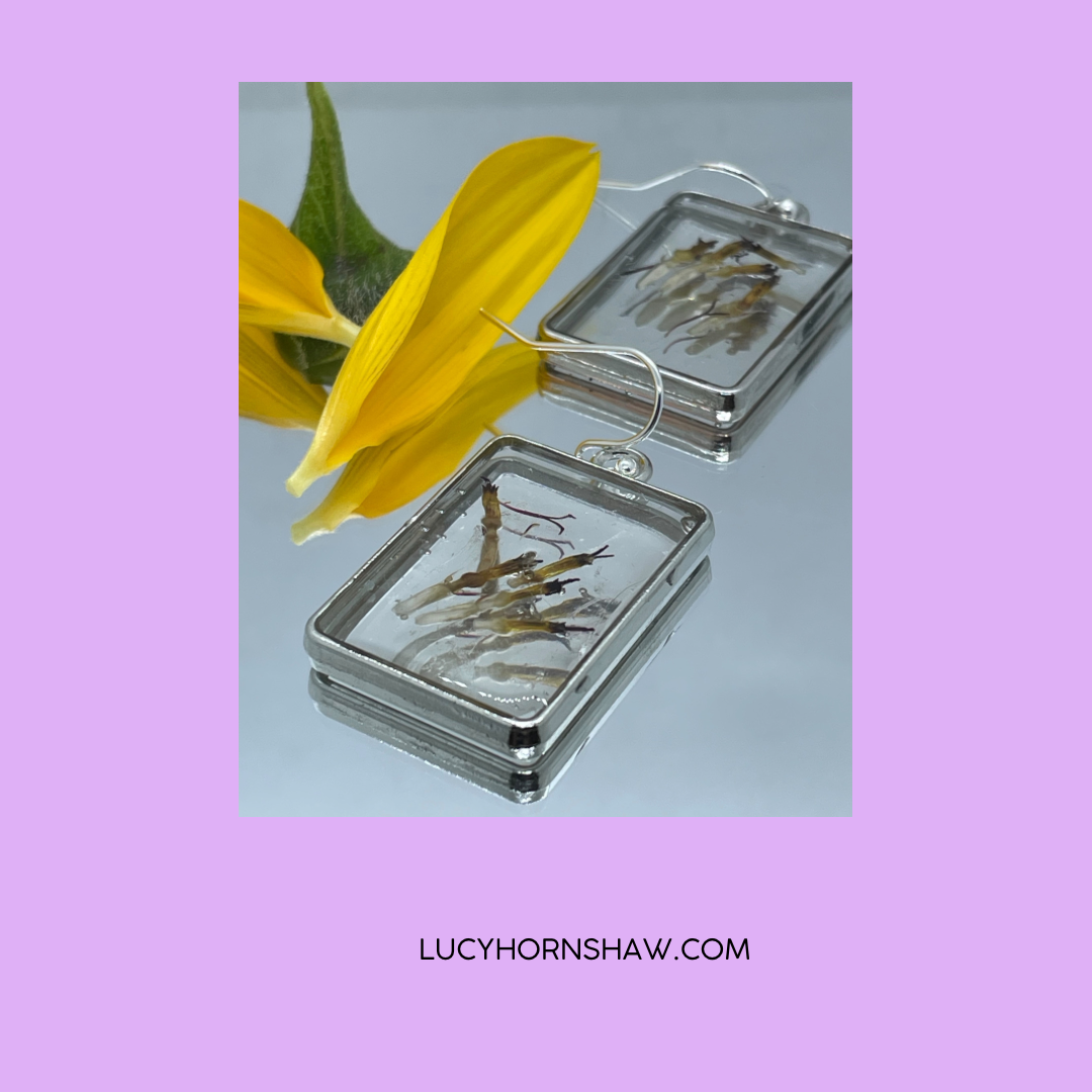 Young sunflower seeds & resin oblong earrings